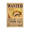 10 Pcs Anime One Piece Luffy Straw Hat Pirates Wanted