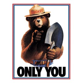 Desperate Enterprises Only You - Smokey Bear Tin Sign - Nostalgic Vintage Metal Wall Decor - Made in USA