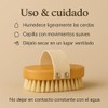 Cepillo corporal exfoliante natural – Mango de bambú y cerdas