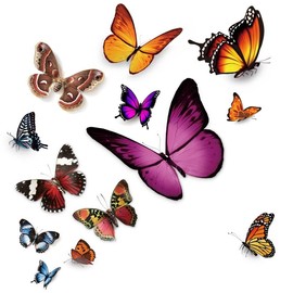Butterfly Vinyl Car Stickers, Butterflies Insect Scratch Cover Waterproof Bumper Decals for Automotive, Motorcycle, Helmet, Luggage, Window, Wall, Home Decor, Easter (Type A)
