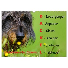 Liebenswerte Clowns (Wandkalender 2025 DIN A3 quer), CALVENDO Monatskalender [Calendar] Piet G.