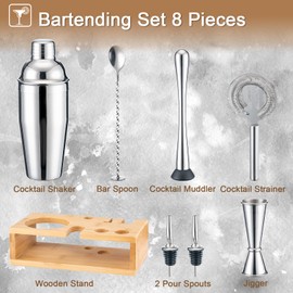 BRIOUT Cocktail Shaker Set, 8-Piece Bartender Kit Include Stand Martini Shaker Jigger Strainer Muddler Mixer Spoon Pour Spouts, Home Bar Accessories Tools for Drinks Mixing, Stainless Steel Silver