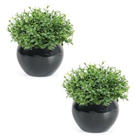 Velener Fake Sage Plants for Shelf Decor, Small Artificial Succulents Grass Desk Plant for Office Women, Mini Faux Plant Indoor, Masculine Home Decor, Coffee Table Decor, Bathroom Decor (2 Pack)