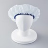 KAI Hair Goods Shower Cap 2P Antibacterial HA3041