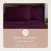 Whisper Organics Organic Cotton Flannel Pillow Case Set (Queen, Aubergine)