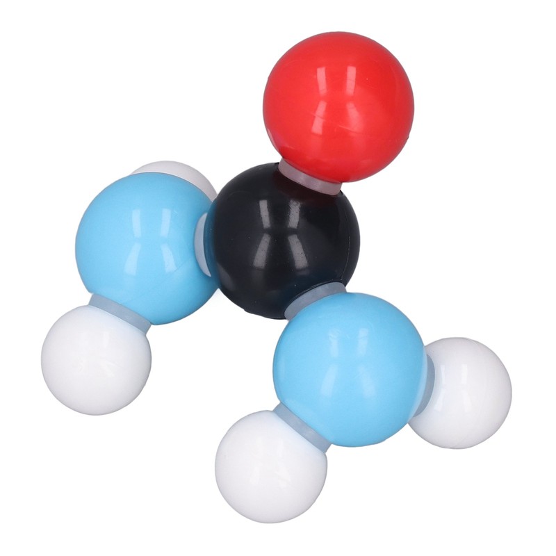 Chemistry Molecular Model Kit for Students 3D Modeling Universal Strong