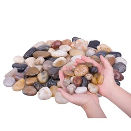 Natural River Rocks & Pebbles for Landscaping, Gardens, Aquariums & Indoor Plants – 2-4cm Decorative Garden Stones, High-Quality Durable Rocks 2lb/5lb/10lb
