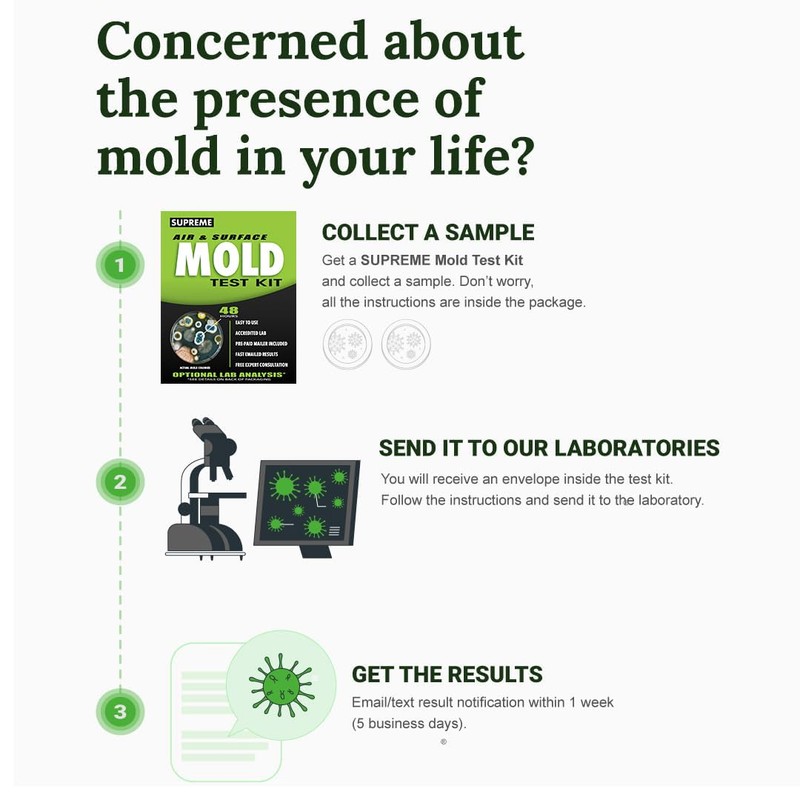 Supreme - DIY Mold Test Kit for Home Air Quality