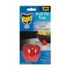 Raid Fruit Fly Trap with Lure, Easy to Use, Apple