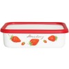 Fuji Hollow Strawberry Shallow Square Container, L 0.4 gal (1.35