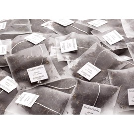 Dammann Freres Sachets, Darjeeling Tea Bags, Premium Gourmet French Black Tea, 50 Count (Single Pack)