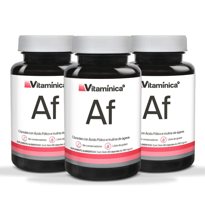 Vitaminica Ácido Fólico 300 mg 90 Cápsulas