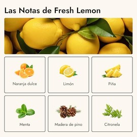 Láminas Detergentes y Lava Trastes Hauss | Sin Plástico, Sin Químicos Tóxicos