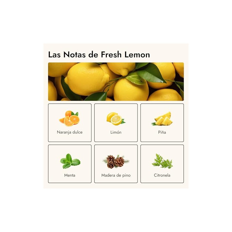 Láminas Detergentes y Lava Trastes Hauss | Sin Plástico, Sin