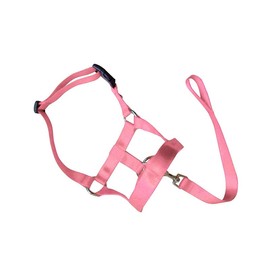Adjustable Dog Head Halter - Effective Anti-Pulling Training Collar with Nose and Neck Straps - Comfortable, Lightweight, and High-Quality Harness Design for Improved Walks