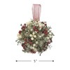 Kissing Krystals 5in Mistletoe Ornament - Acrylic - Holly Kissed