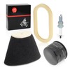 Air Filter foam and Oil Filter + Spark Plug 2001