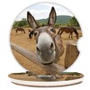 Funny Donkey Absorbent Cup Holders Car Coasters,Ceramic Stone Drinks Coaster