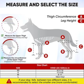 BOBKNOW Dog Knee Brace for Torn ACL Hind Leg - ACL Brace for Dogs - Knee Brace for Dogs with Torn ACL - Provides Stable Support - Comfortable & Easy to Use (S)