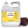 12 oz Capryl Glucoside Liquid Natural Surfactant, Premium Capryl Glucoside