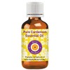 Deve Herbes Pure Cardamom Essential Oil (Elettaria cardamomum) with Glass
