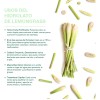Bio Hidrolato De Lemongrass Purificante, Astringente 500 Ml