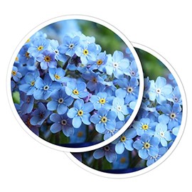 Vinyl Round Stickers (Set of 2) 10cm - Forget-Me-Not Flowers Purple Blue for Laptops, Tablets, Luggage, Scrap Booking, Fridges #50925