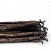 Zazou Emporium - Madagascar Vanilla Pods - Pack of 10