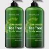 Vegan Collagen Tea Tree Body Wash | 16 fl oz