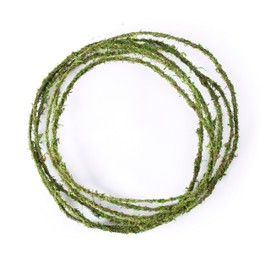 SuperMoss (22721) Moss Floral Wire, Green, 12 ft.