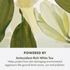 Origins A Perfect World Antioxidant Moisturizer | Keeps Skin Looking
