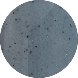 Preanfa PGU-GP310 Color Gel Sandy Bruges 0.1 oz (3 g) PGU-GP310 Gel Nail