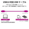 エレコム USBケーブル Type C (USB C to USB C) 2.0m