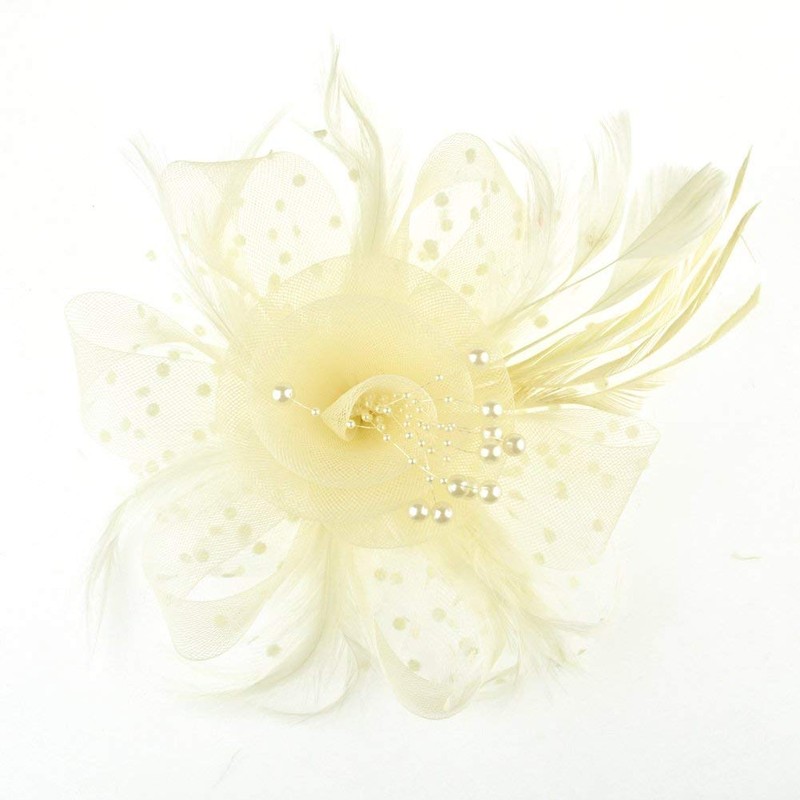 DRESHOW Fascinator Hat for Women, Pillbox Hat with Veil, Headband