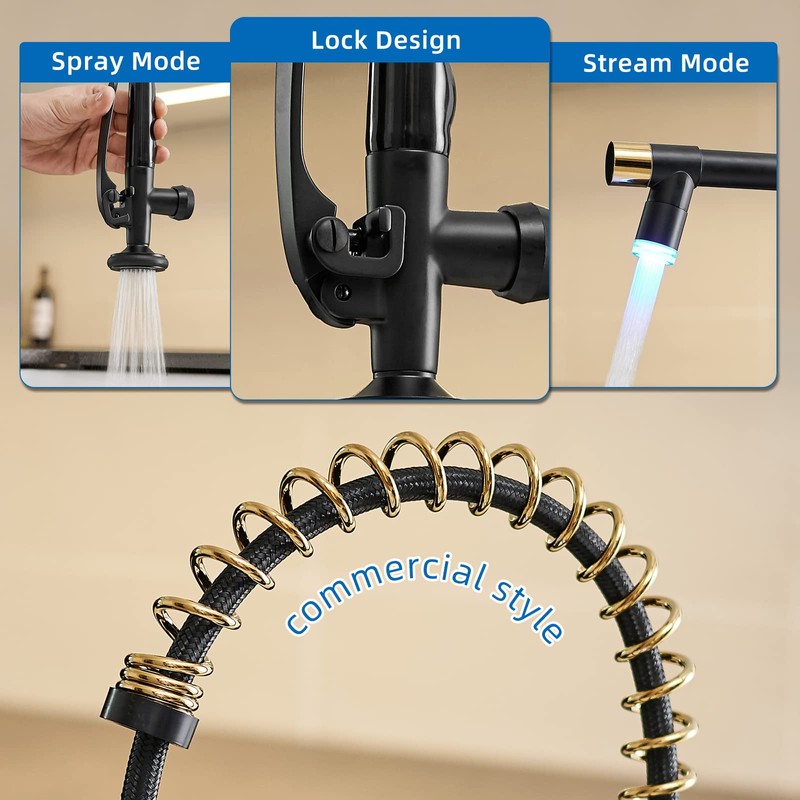 Fapully LED Kitchen Faucet with Pull Down Sprayer,Black&Gold Commercial Kitchen