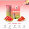 310 Hydrate Watermelon Electrolytes Powder Packets - No Sugar Hydration