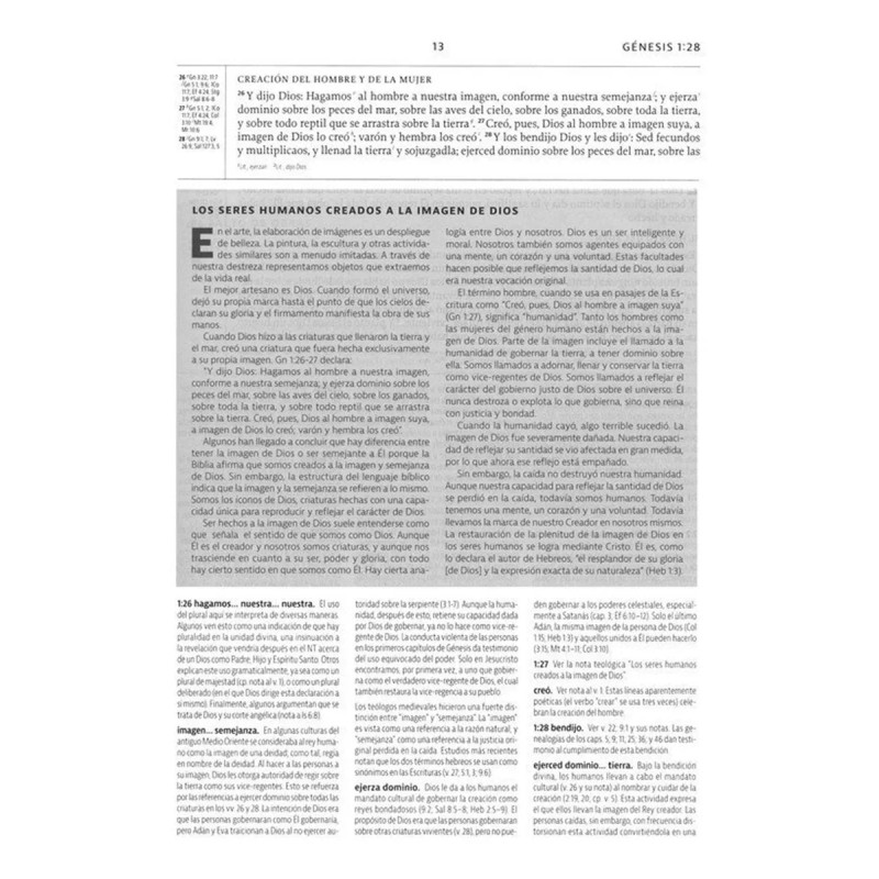 Biblia De Estudio De La Reforma Lbla Imitación Piel