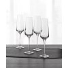 Hotel Collection Set of 4 Flute Glasses NEW!!!!!!
