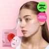 ROUND LAB Camellia Deep Collagen Firming Gel Mask Sheet 1ea