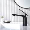 TOCALOCA Black Bathroom Sink Faucet, Matte Black, Modern Design, Single