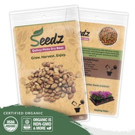 Organic Bean Seeds, Appr. 115, Pinto Dry Bean, Heirloom Vegetable Seeds, Certified Organic, Non GMO, Non Hybrid, USA