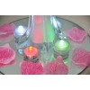 Feather Paradise Flower Shape Led Submersible Floral Lights / FloraLytes
