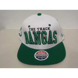 Zephyr VTG The Track Bangas "Clover" Snapback Hat Zephyr NEW NWT Wool Blend Record Co.
