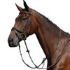 Collegiate Syntovia+ Plain Flat Running Martingale Warmblood Black