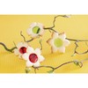 Staedter Daffodil Cookie Cutter, Silver, 4.5 cm