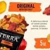 Terra Vegetable Chips, Original Vegetable Chips with Sea Salt, 5