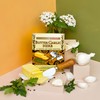 Fusion Flavors Dips and Seasonings Variety Packs - Best Sellers