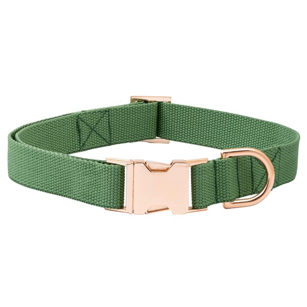 Indestructible Dog Collar, Fully Customizable Fit, Waterproof Nylon, Odor-Resistant, Metal