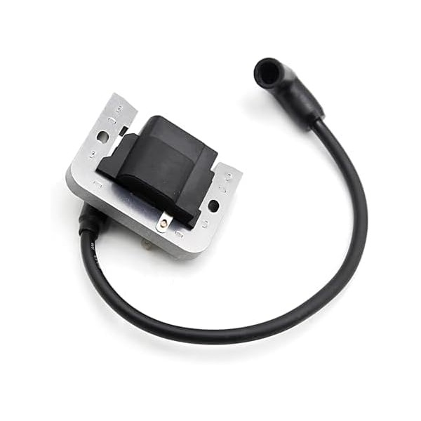 IGCLINIC Ignition Module Kit, CDI Fixed Replaces Cub Cadet GT