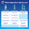 Clorox® Pool&Spa™ XTRABLUE® Plus Swimming Pool Algaecide, All-in-One Algae Killer,